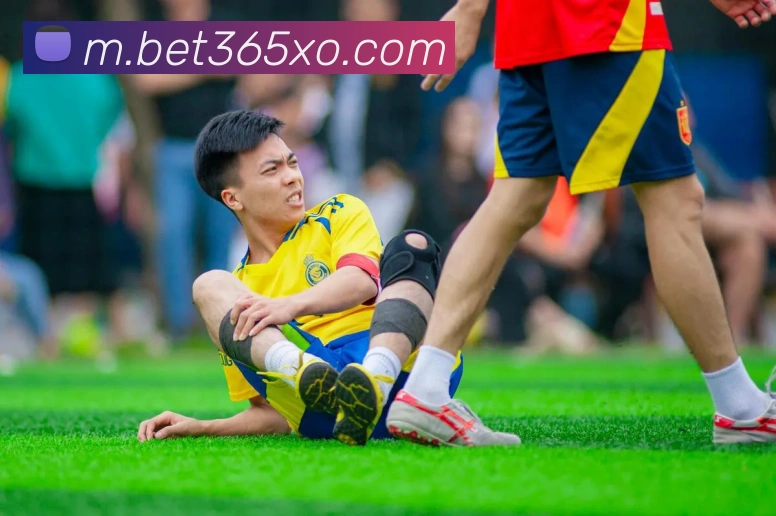bet365中国官网服务体系